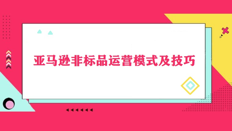 亚马逊非标品运营模式及技巧